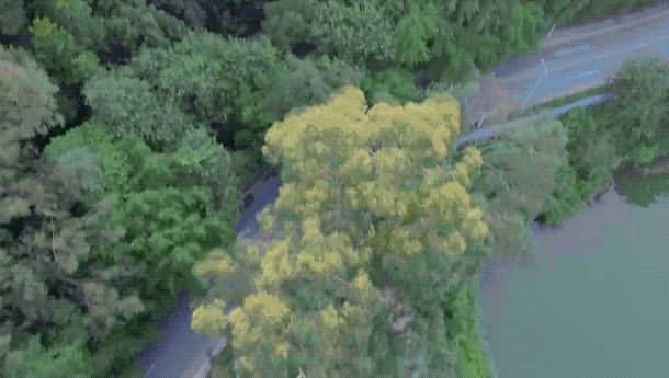 验：135g的它却是我心目中最好的航拍无人机头号玩家龙八国际网址DJI NEO 首发体(图8)